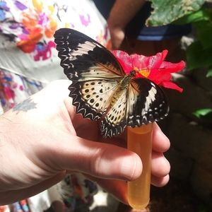 Meet your Posher, Falecia